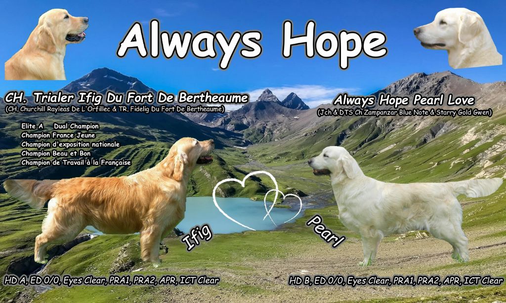 Always Hope - Mariage Pearl & Ifig